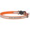 Show in main carousel: Frisco Polyester Personalized Reflective Cat Collar with Bell, Orange, 8 to 12-in neck, 3/8-in wide slide 1 of 8