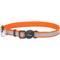 Show in main carousel: Frisco Polyester Personalized Reflective Cat Collar with Bell, Orange, 8 to 12-in neck, 3/8-in wide slide 3 of 8
