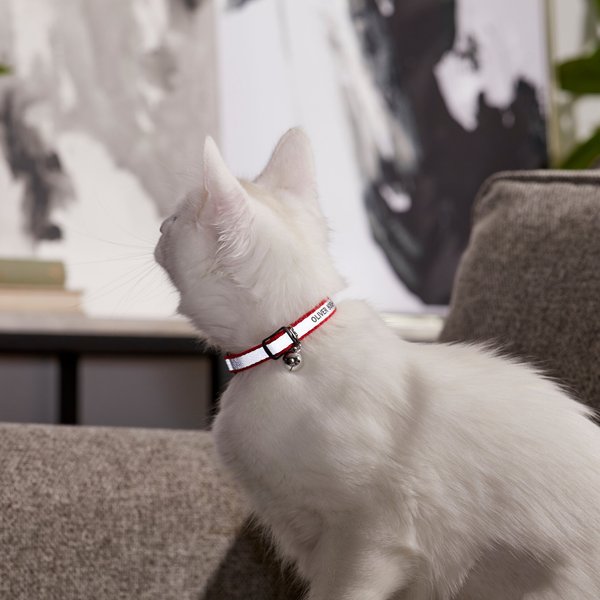 Frisco Polyester Personalized Reflective Cat Collar with Bell