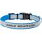 Show in main carousel: Frisco Polyester Personalized Reflective Dog Collar, Blue, Medium - Neck: 14 - 20-in, Width: 3/4-in slide 1 of 7