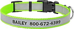 Frisco Polyester Personalized Reflective Dog Collar, Lime, Medium - Neck: 14 - 20-in, Width: 3/4-in