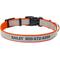 Show in main carousel: Frisco Polyester Personalized Reflective Dog Collar, Orange, S - Neck: 10-14-in, Width: 5/8-in slide 1 of 7
