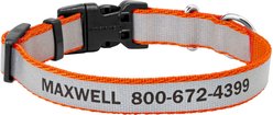 Frisco Polyester Personalized Reflective Dog Collar, Orange, XS - Neck: 8 -12-in, Width: 5/8-in