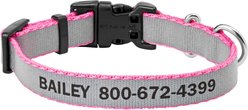 Frisco Polyester Personalized Reflective Dog Collar, Pink, XS - Neck: 8 -12-in, Width: 5/8-in
