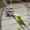 Show in main carousel: Frisco Popsicle Frenzy Bird Chew Toy slide 3 of 6