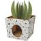 Show in main carousel: Frisco Potted Succulent Cardboard Cat House slide 1 of 9