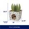 Show in main carousel: Frisco Potted Succulent Cardboard Cat House slide 2 of 9