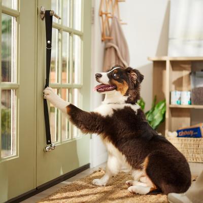 Show full view: Frisco Potty Training Dog Bell slide 6 of 9