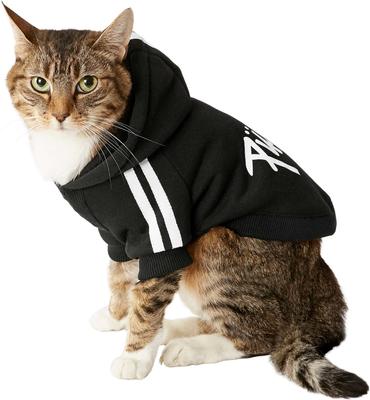 Show full view: Frisco Püppy Dog & Cat Athletic Hoodie, Black, X-Small slide 4 of 11