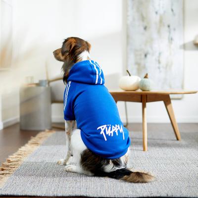 Show full view: Frisco Püppy Dog & Cat Athletic Hoodie, Blue, X-Large slide 7 of 11