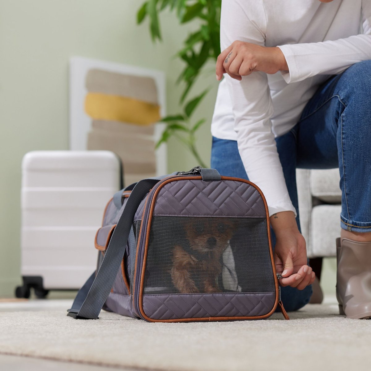 Frisco Premium Airline Compliant Dog & Cat Quilted Carrier Bag, Gray, Large
