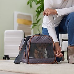 Frisco Premium Airline Compliant Dog & Cat Quilted Carrier Bag, Gray, Large
