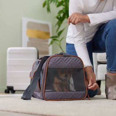 Frisco Frisco Premium Airline Compliant Dog & Cat Quilted Carrier Bag, Gray, Large