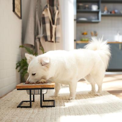 Show full view: Frisco Premium Modern Wood Elevated Single Dog & Cat Bowl, Medium: 3 cup slide 3 of 8