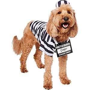 Frisco Prisoner Dog & Cat Costume, Large