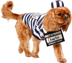 Frisco Prisoner Dog & Cat Costume, Medium