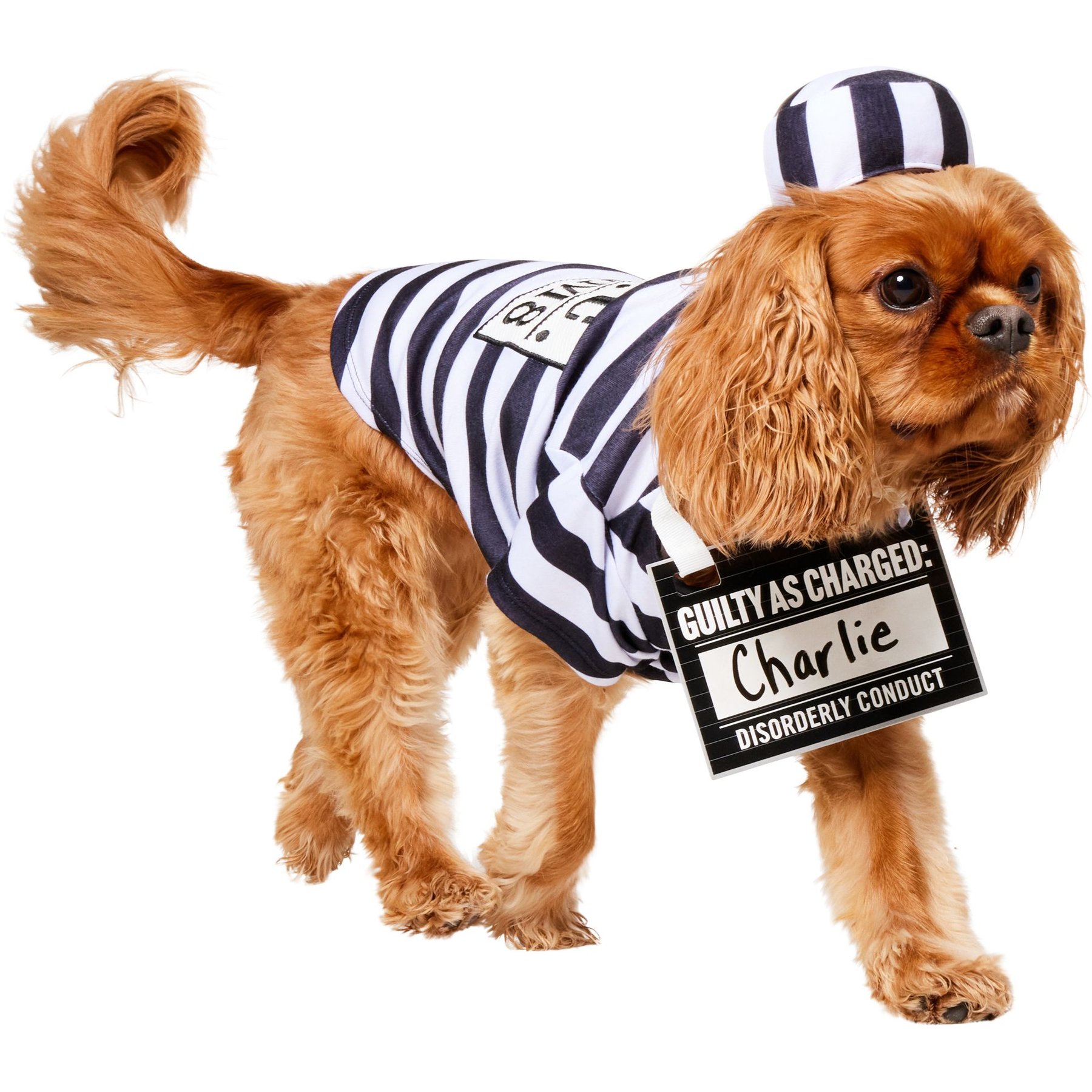 Frisco Prisoner Dog & Cat Costume, Medium