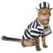 Show in main carousel: Frisco Prisoner Dog & Cat Costume, Small slide 1 of 9
