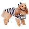 Show in main carousel: Frisco Prisoner Dog & Cat Costume, Small slide 3 of 9