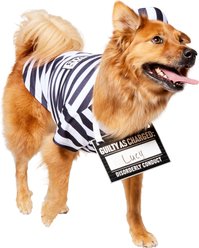 Frisco Prisoner Dog & Cat Costume, X-Large