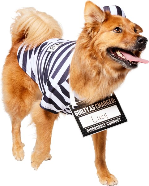 Frisco Prisoner Dog & Cat Costume