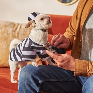 Frisco Prisoner Dog & Cat Costume, X-Large