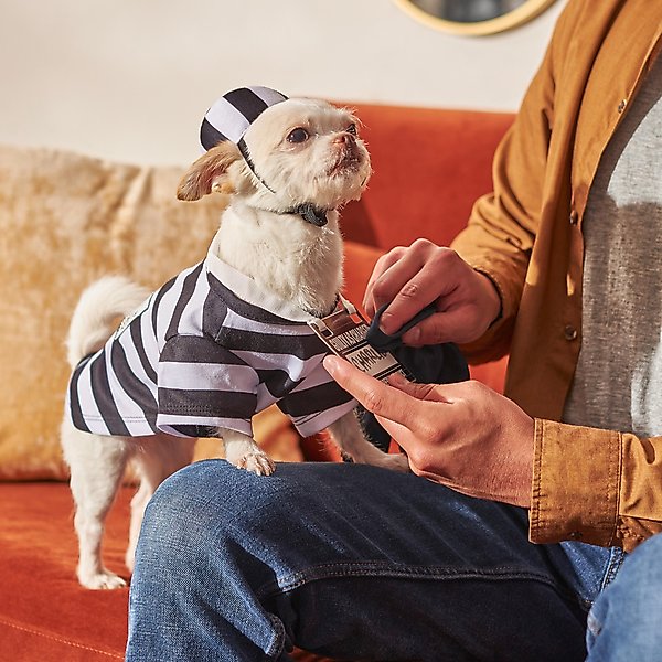 Show full view: Frisco Prisoner Dog & Cat Costume, XX-Large slide 6 of 8