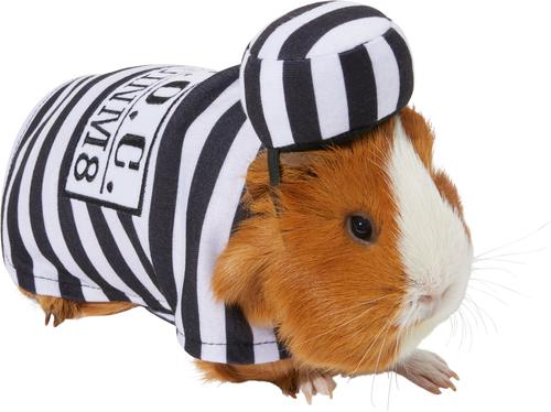 Show full view: Frisco Prisoner Guinea Pig Costume, One Size, Multi Color slide 1 of 8