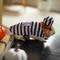 Show in main carousel: Frisco Prisoner Guinea Pig Costume, One Size, Multi Color slide 6 of 8