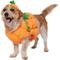 Show in main carousel: Frisco Pumpkin Ball Dog & Cat Costume, Large slide 1 of 8