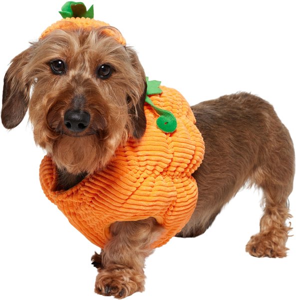 Frisco Pumpkin Ball Dog & Cat Costume