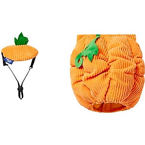 Frisco Pumpkin Ball Dog & Cat Costume, Small