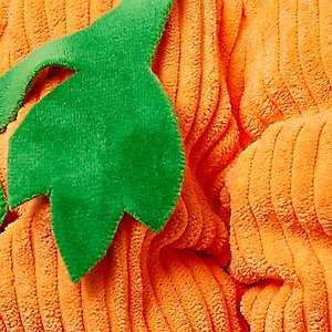 Frisco Pumpkin Ball Dog & Cat Costume, Small