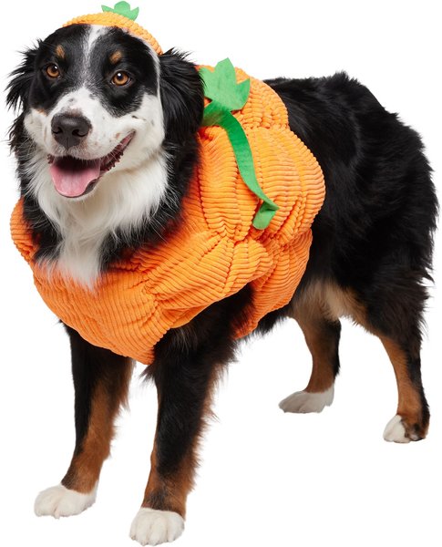 Frisco Pumpkin Ball Dog & Cat Costume