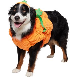 Frisco Pumpkin Ball Dog & Cat Costume, X-Large