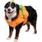 Show in main carousel: Frisco Pumpkin Ball Dog & Cat Costume, X-Large slide 1 of 8