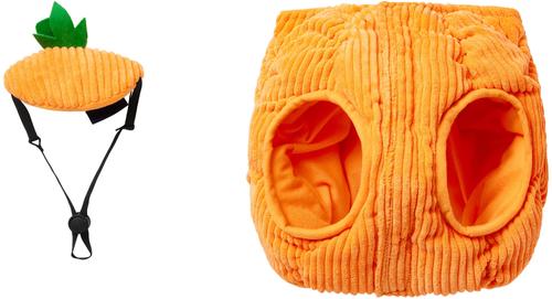 Show full view: Frisco Pumpkin Ball Dog & Cat Costume, X-Large slide 4 of 8