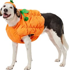Frisco Pumpkin Ball Dog & Cat Costume, XX-Large