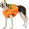 Show in main carousel: Frisco Pumpkin Ball Dog & Cat Costume, XX-Large slide 1 of 7