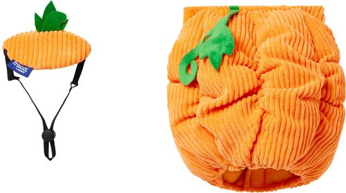 Show full view: Frisco Pumpkin Ball Dog & Cat Costume, XX-Large slide 3 of 7