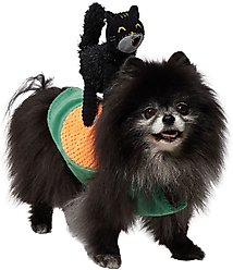 Frisco Pumpkin Cat Ride-On Dog Costume with detachable Plush Toy, Small