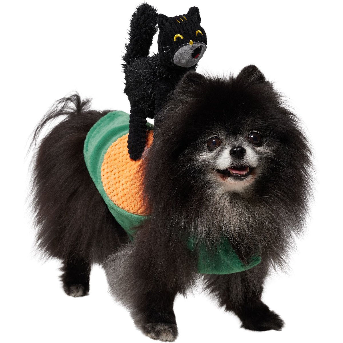Frisco Pumpkin Cat Ride-On Dog Costume with detachable Plush Toy, Small