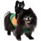 Show in main carousel: Frisco Pumpkin Cat Ride-On Dog Costume with detachable Plush Toy, Small slide 1 of 9