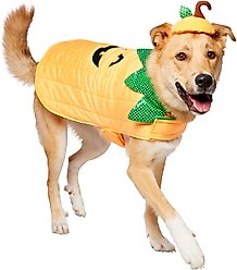 Frisco Pumpkin Dog & Cat Costume, XXX-Large