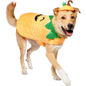Frisco Pumpkin Dog & Cat Costume, XXX-Large