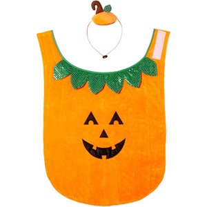 Frisco Pumpkin Dog & Cat Costume, XXX-Large