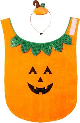 Show full view: Frisco Pumpkin Dog & Cat Costume, XXX-Large slide 4 of 9