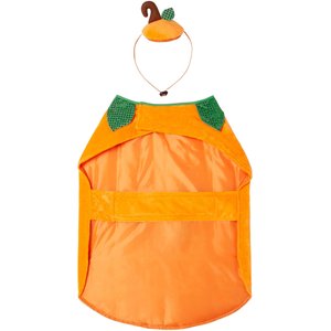 Frisco Pumpkin Dog & Cat Costume, XXX-Large