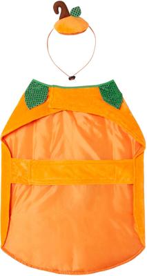 Show full view: Frisco Pumpkin Dog & Cat Costume, XXX-Large slide 5 of 9