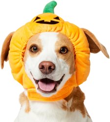 Frisco Pumpkin Dog & Cat Hat Costume, Medium/Large